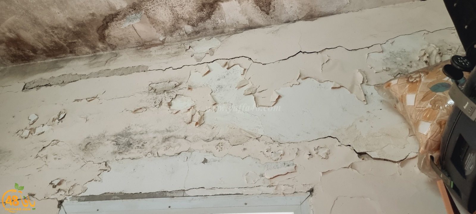 WhatsApp Image 2021-04-21 at 5.17.17 PM (2).jpg